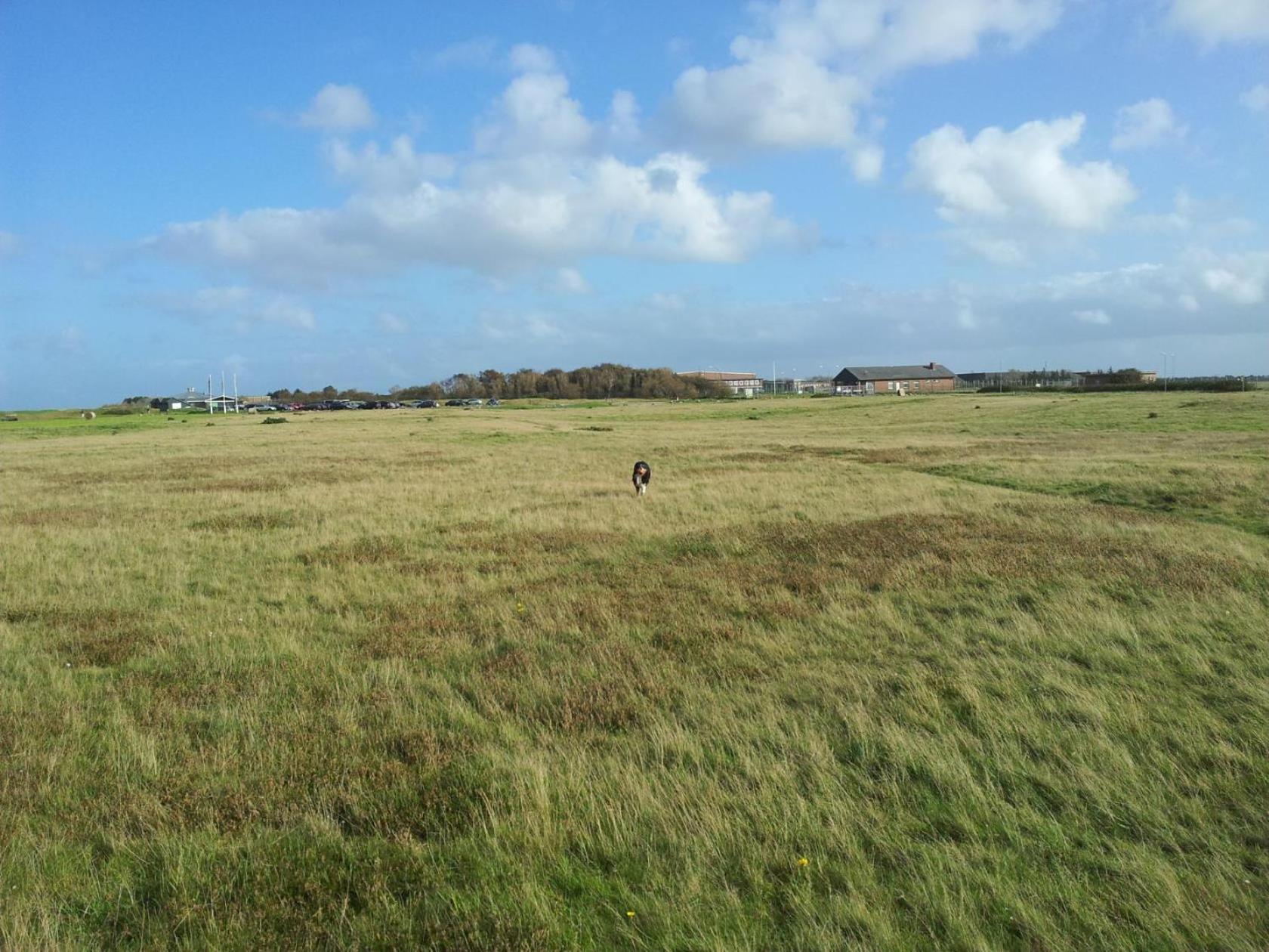 Haus Sylter Welle 5-49 Ob Westerland